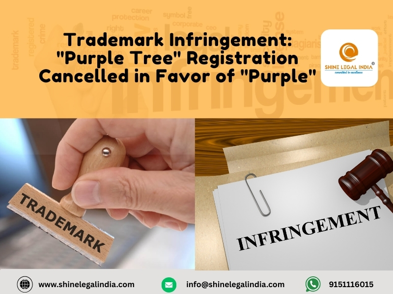 Trademark Infringement: "Purplle Tree" Registration Cancelled in Favor of "Purplle"
